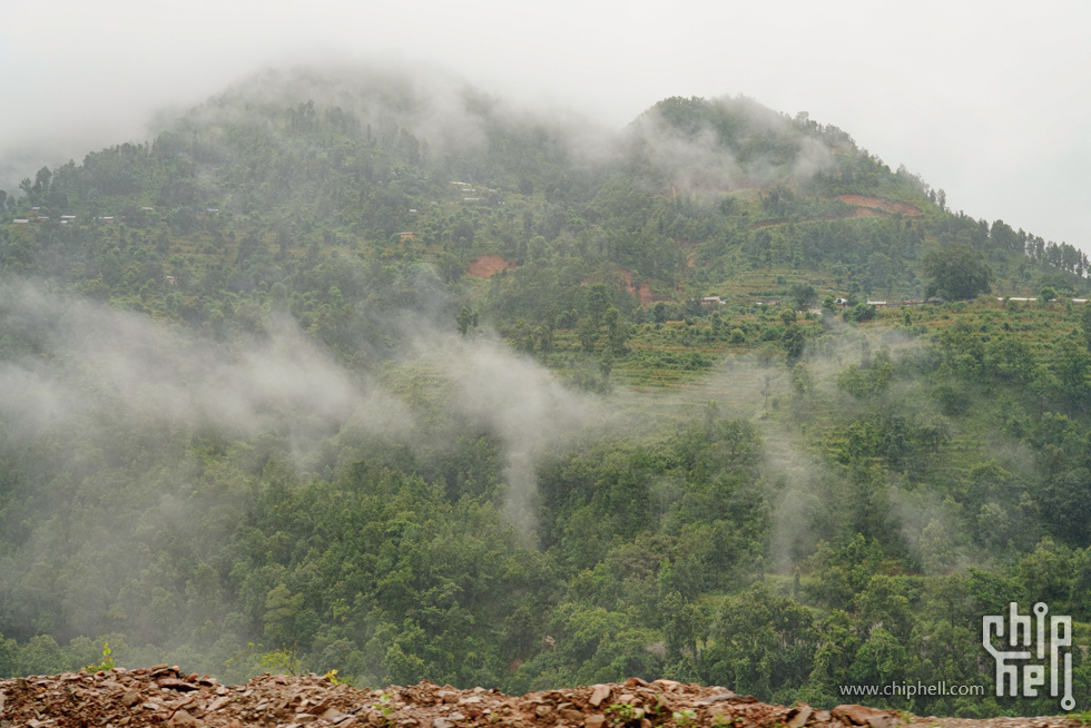 _DSC0706.jpg