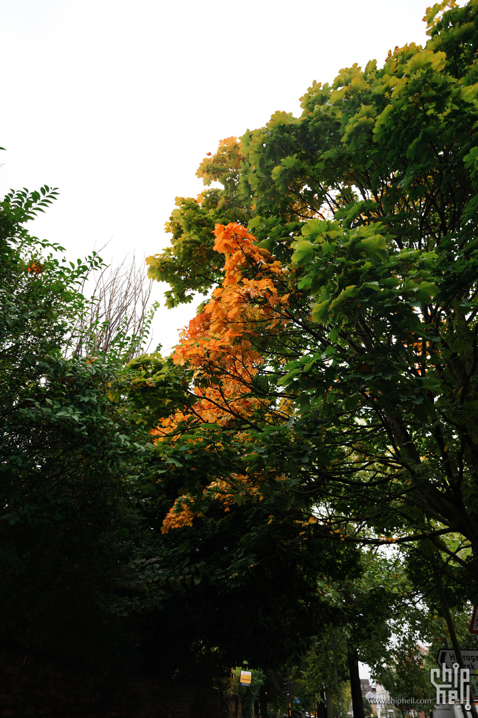 DSC00189.jpg