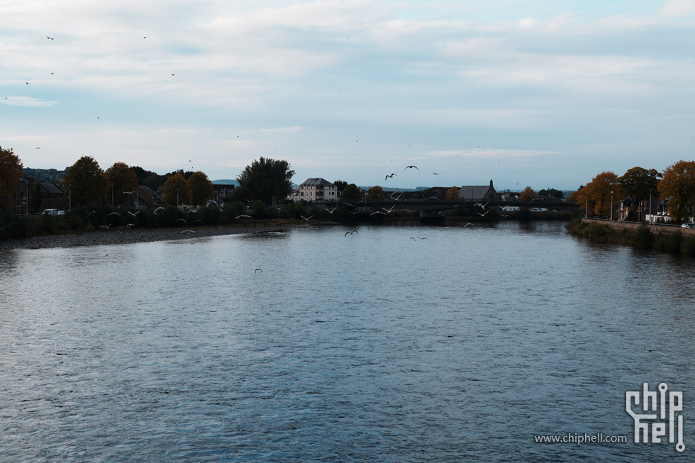 DSC01236.jpg