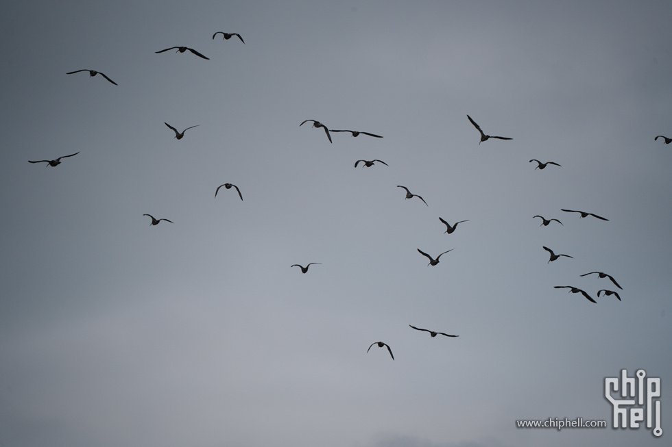 DSC01479.jpg