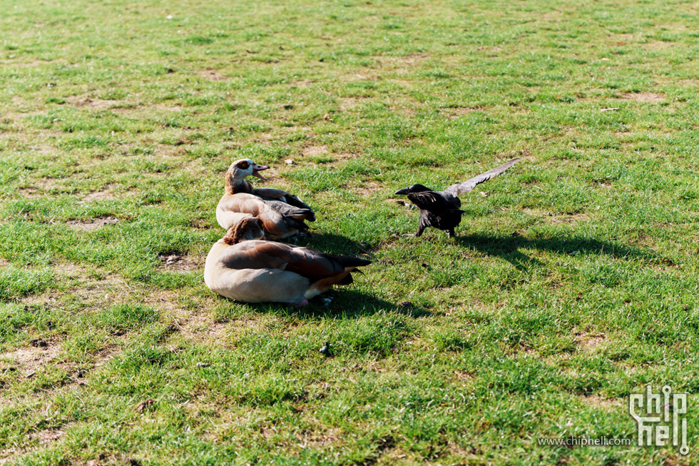 DSC01792.jpg