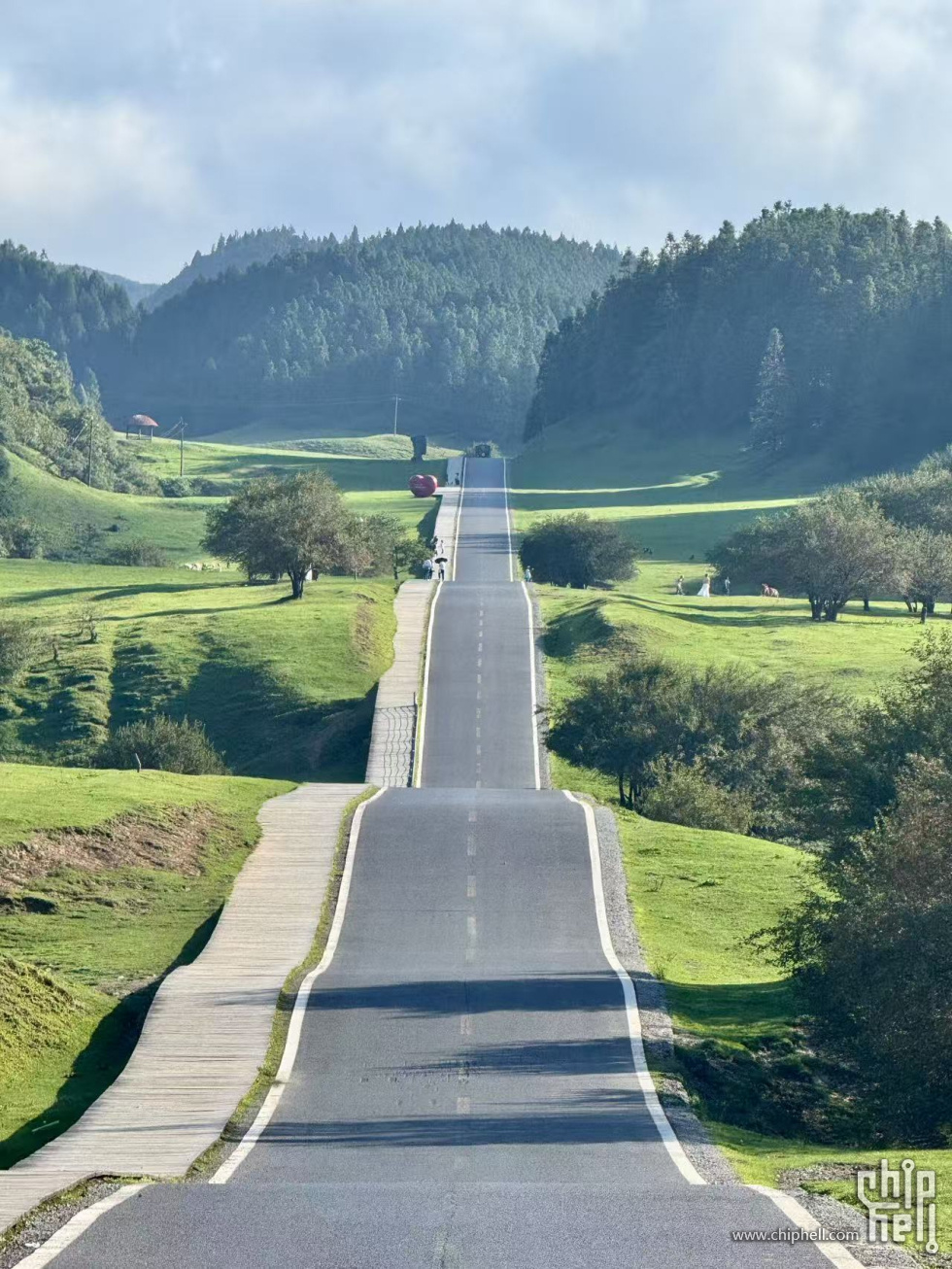 仙女山网红公路