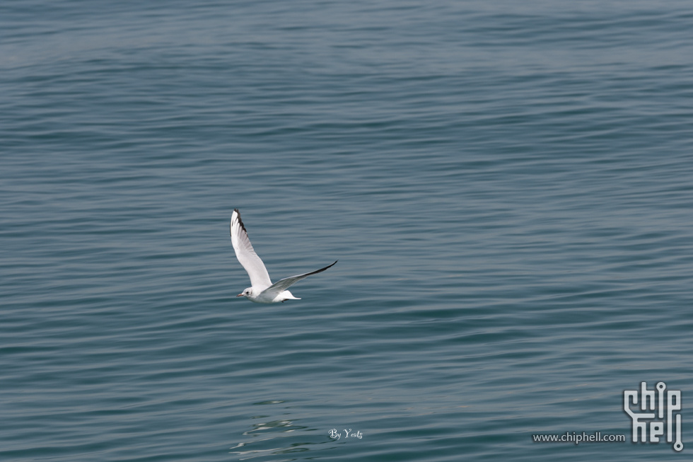 R1_L4667.jpg