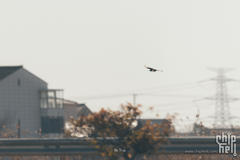 R1_L3032.jpg