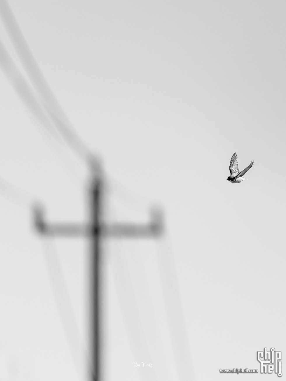 R1_L3046.jpg