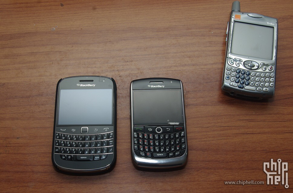 Blackberry Palm.jpg