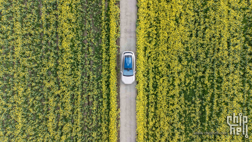 DJI_0817-HDR.jpg