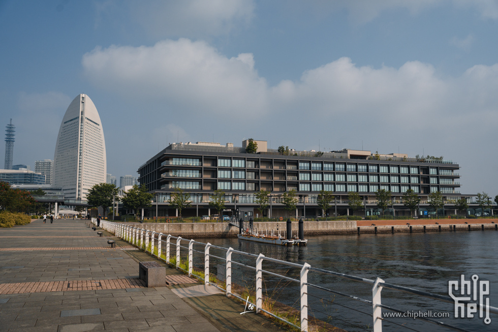 DSC05847.jpg