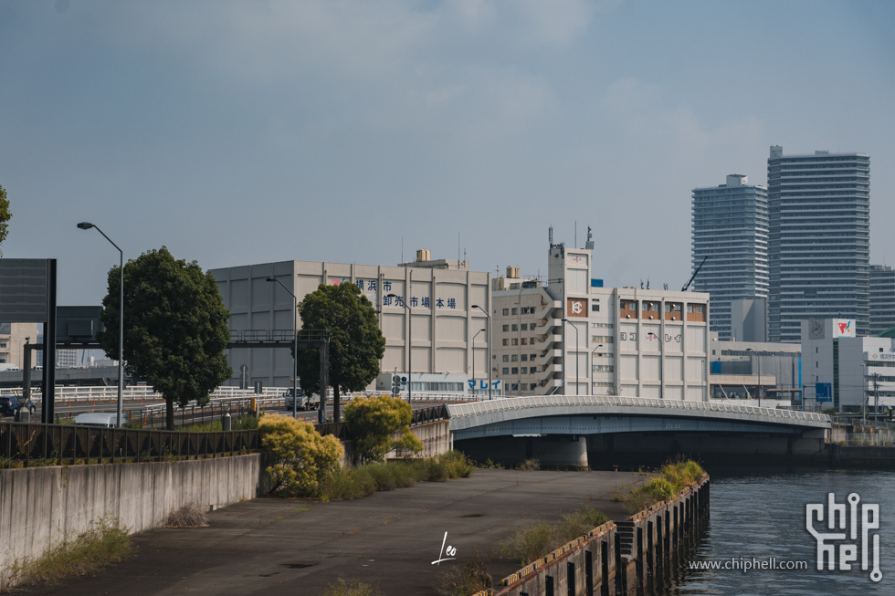 DSC05886.jpg