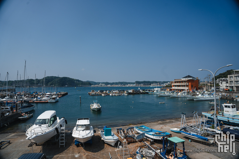 DSC05984.jpg
