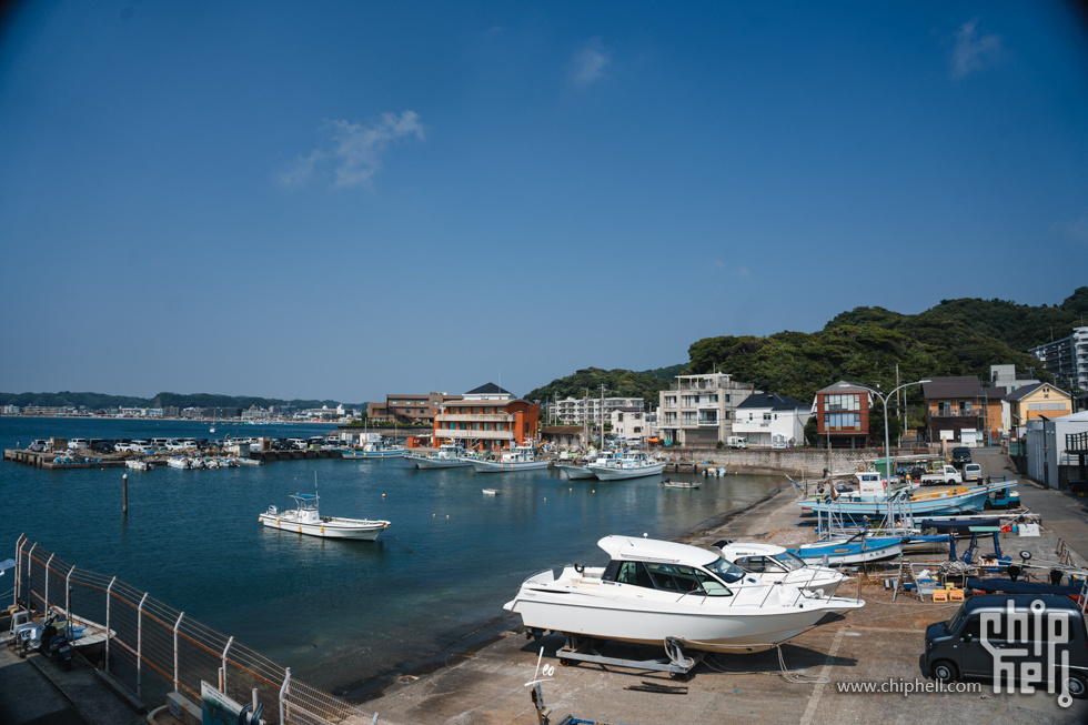 DSC05987.jpg