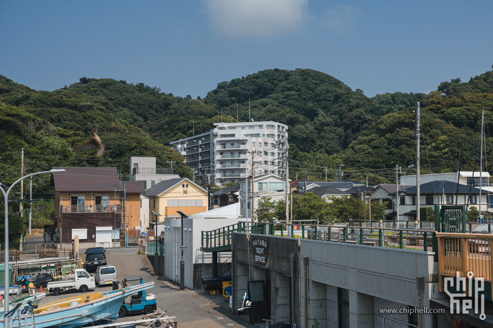 DSC05989.jpg
