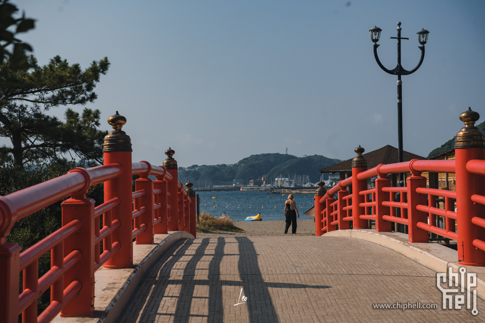 DSC06065.jpg