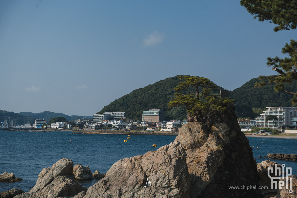 DSC06132.jpg
