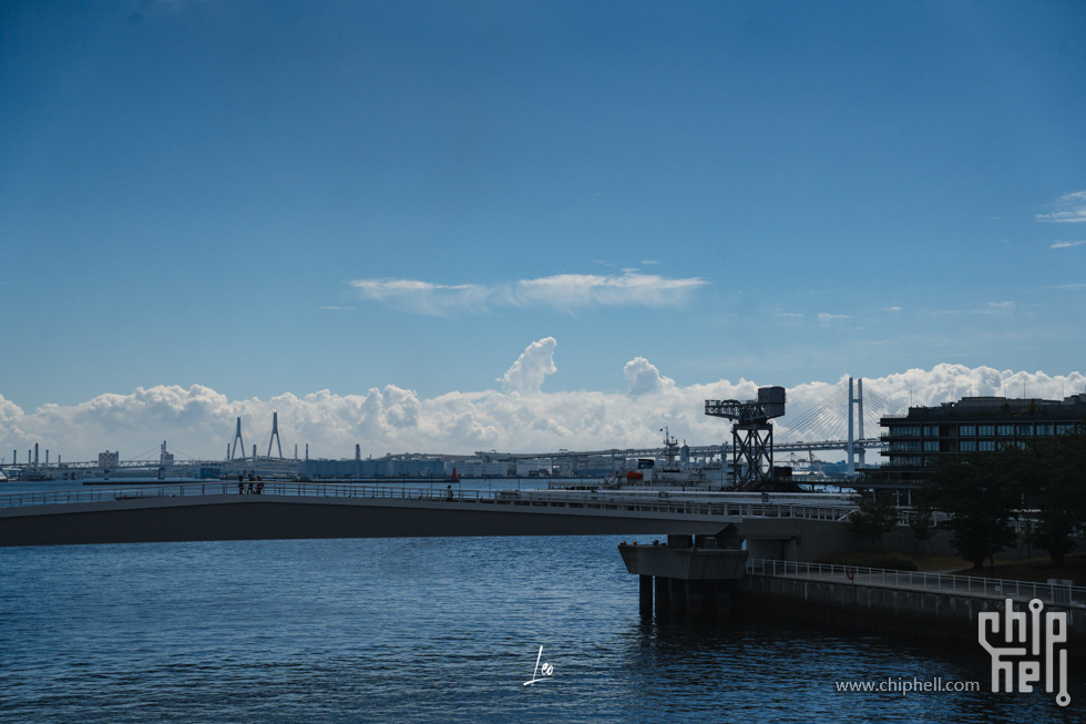 DSC06260.jpg