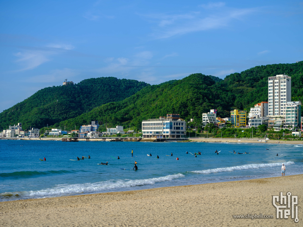 DSCF7231.jpg