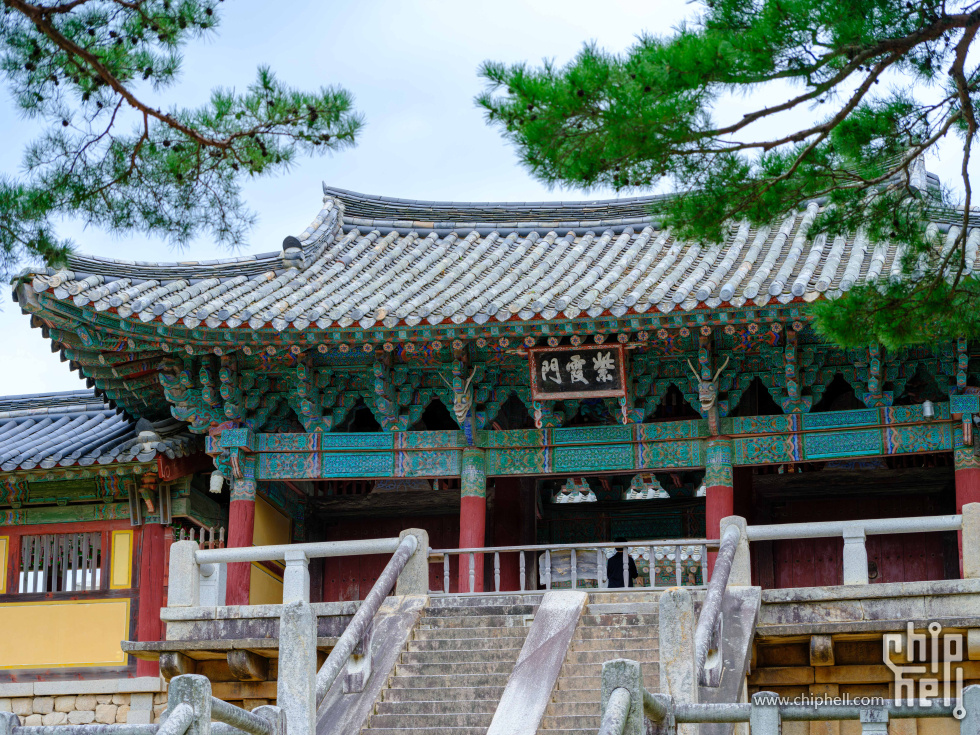 DSCF7295.jpg
