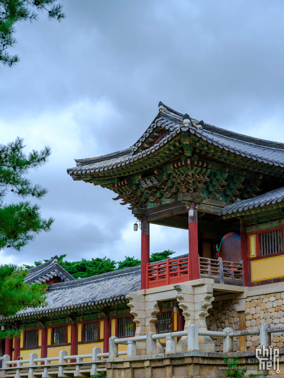 DSCF7296.jpg