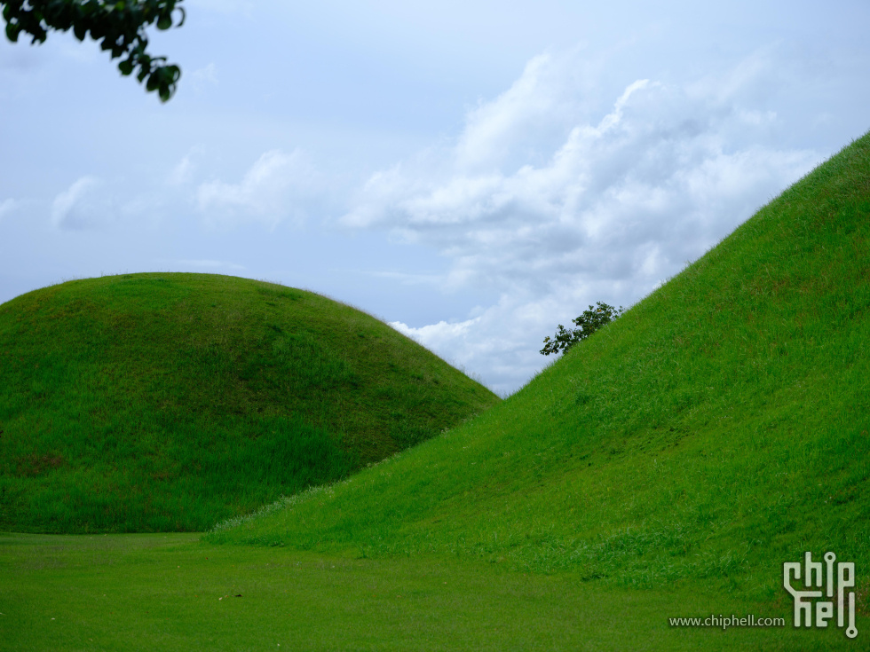 DSCF7272.jpg