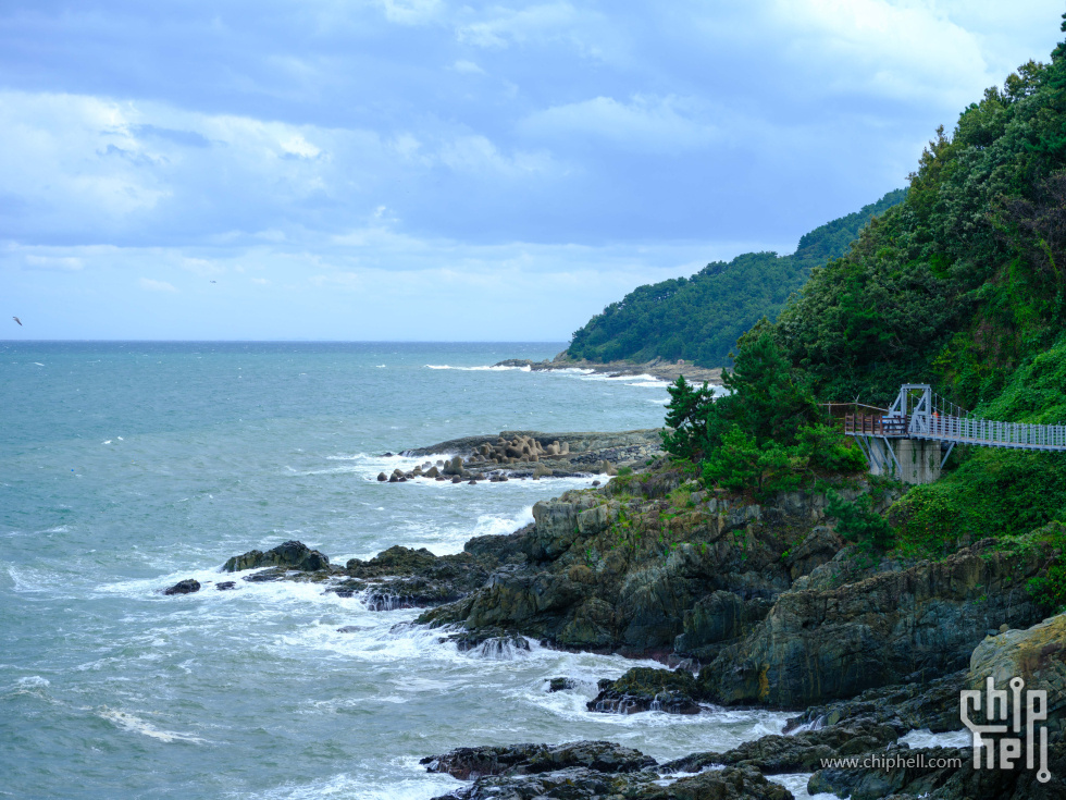 DSCF7494.jpg