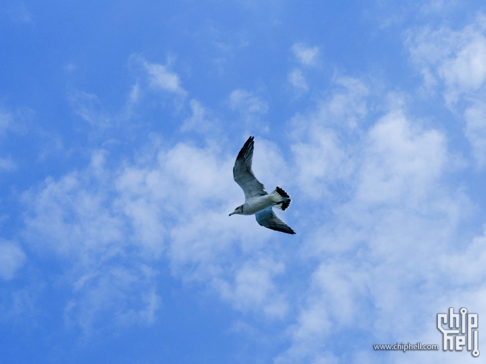 DSCF7684.jpg