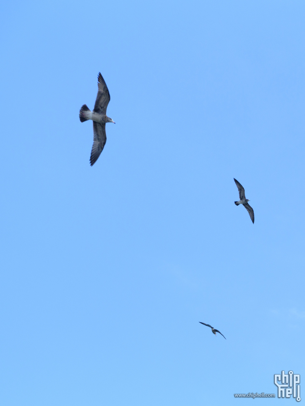 DSCF7811.jpg
