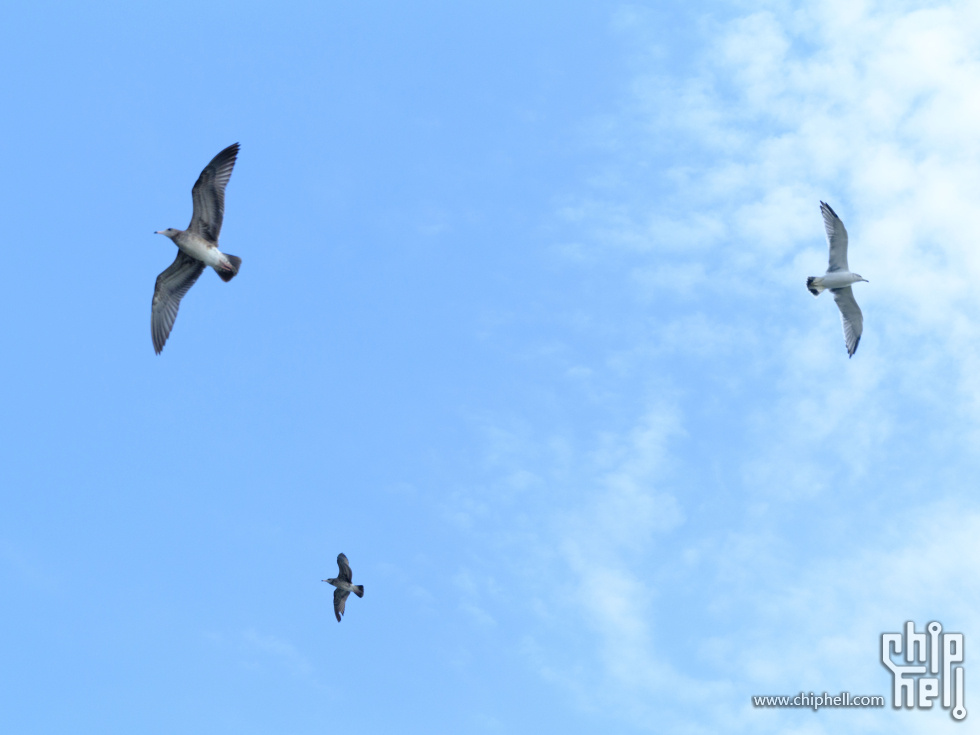 DSCF7814.jpg