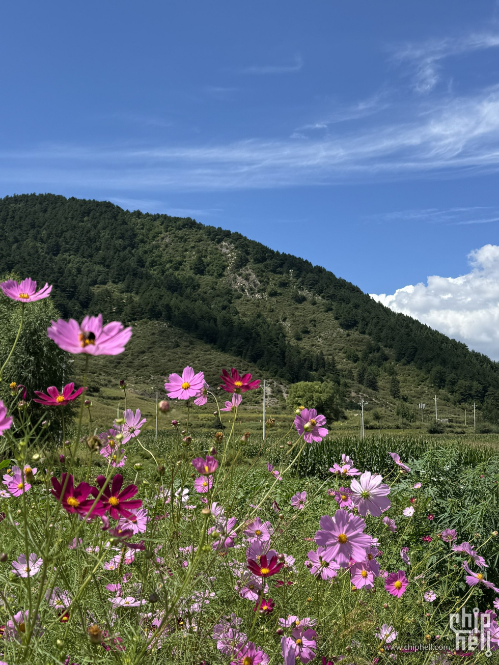 芦芽山-2.jpg