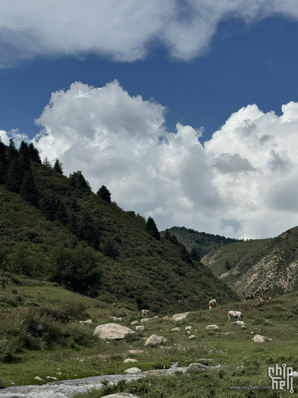 芦芽山-7.jpg