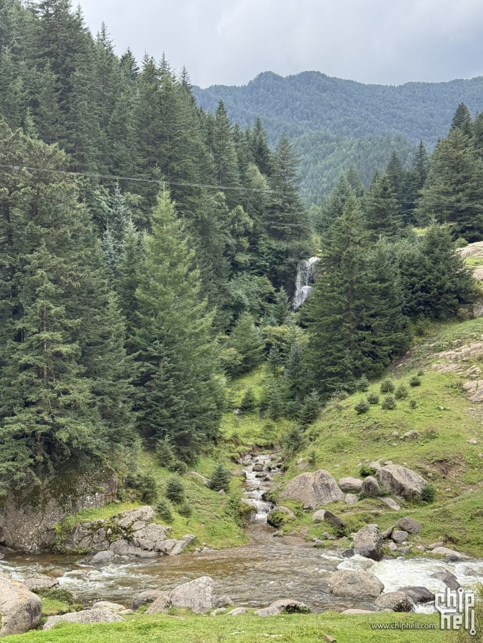 芦芽山-9.jpg