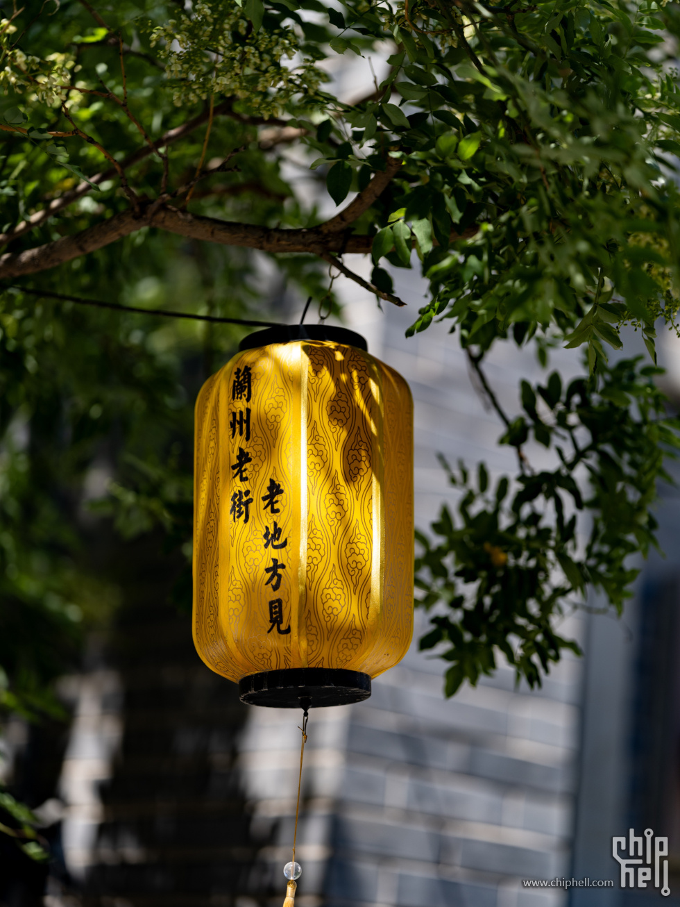 DSCF5891_副本.jpg