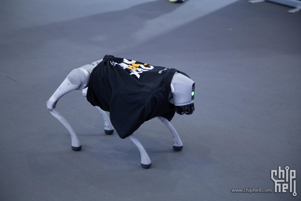 _MG_6643.jpg