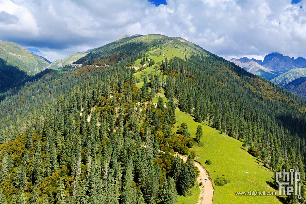 DJI_20250713110125_0221_D-编辑_PerfectlyClear.jpg