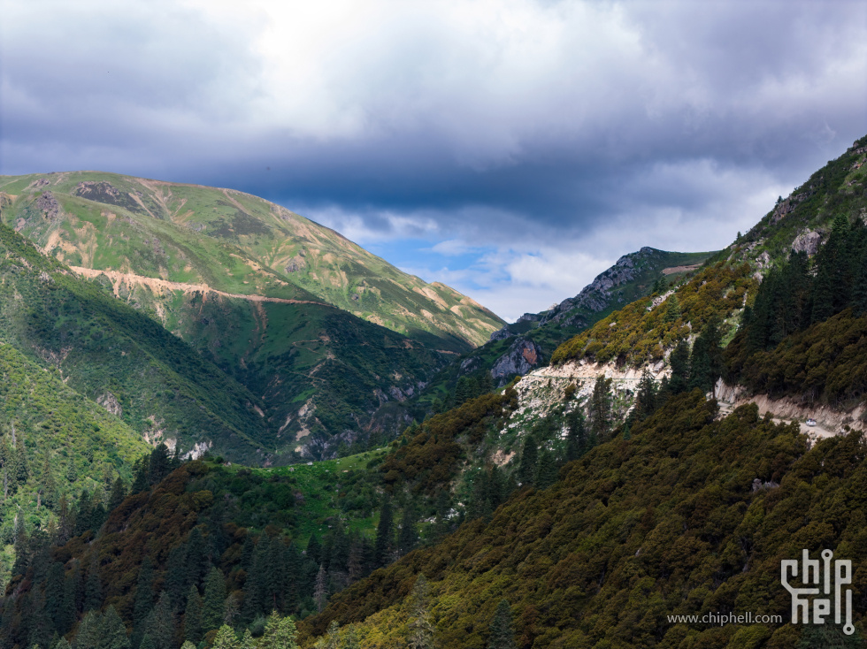 DJI_20250713110929_0233_D_副本.jpg