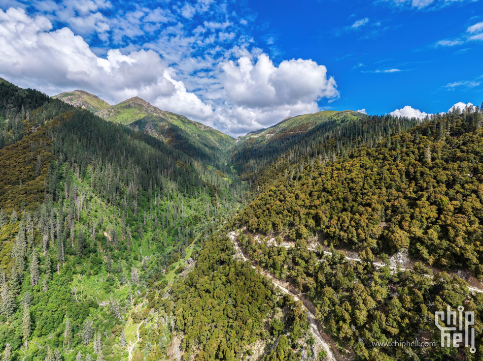 DJI_20250713101826_0189_D.jpg
