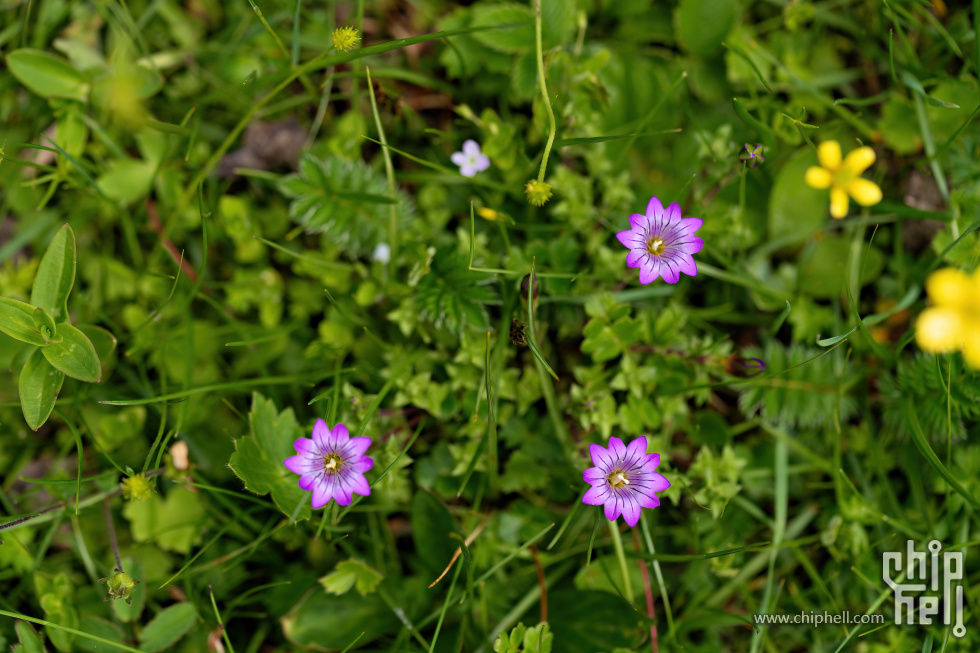 A9901092-编辑_PerfectlyClear.jpg
