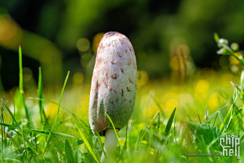 A9901019-编辑_PerfectlyClear.jpg