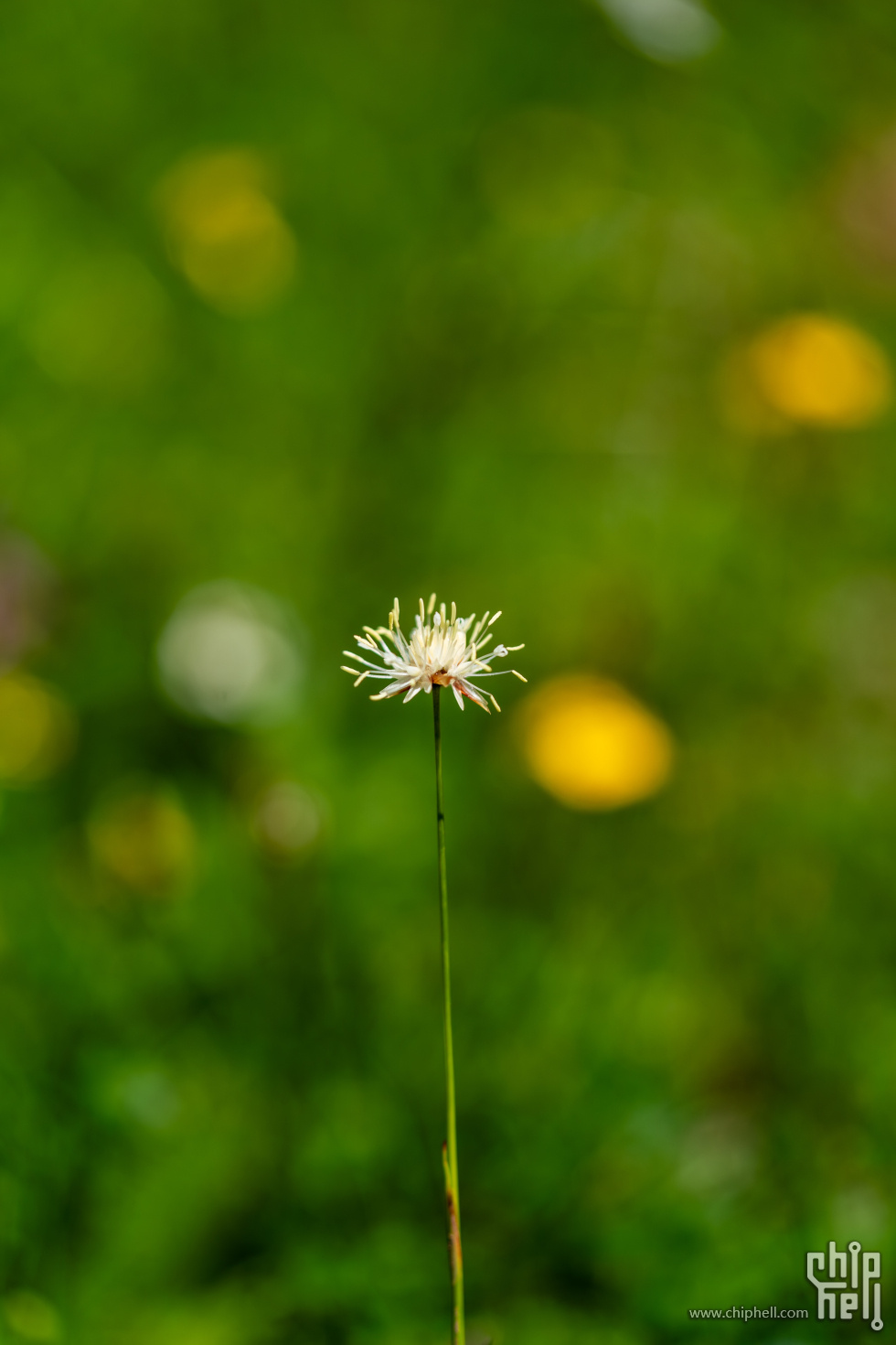 A9900956.jpg