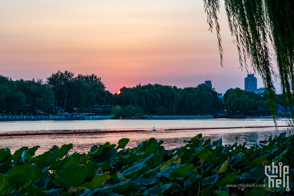 DSC_2723.jpg