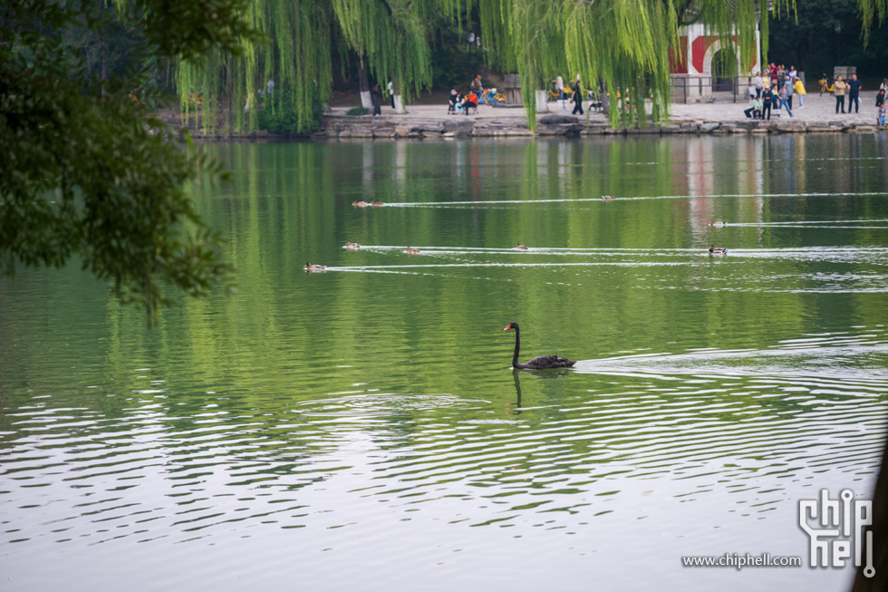 DSC_2842.jpg
