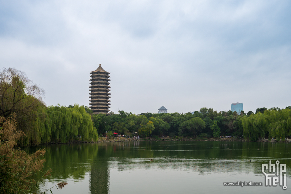 DSC_2891.jpg