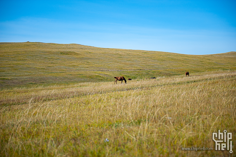 DSC_3721.jpg