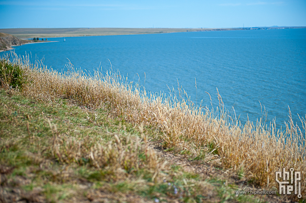 DSC_3729.jpg