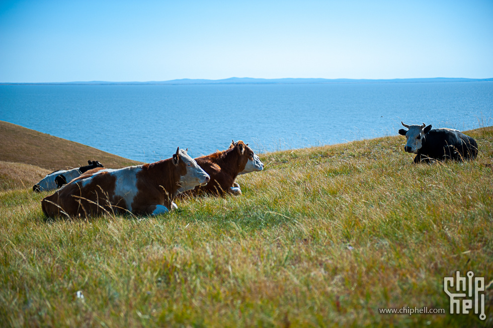 DSC_3750.jpg