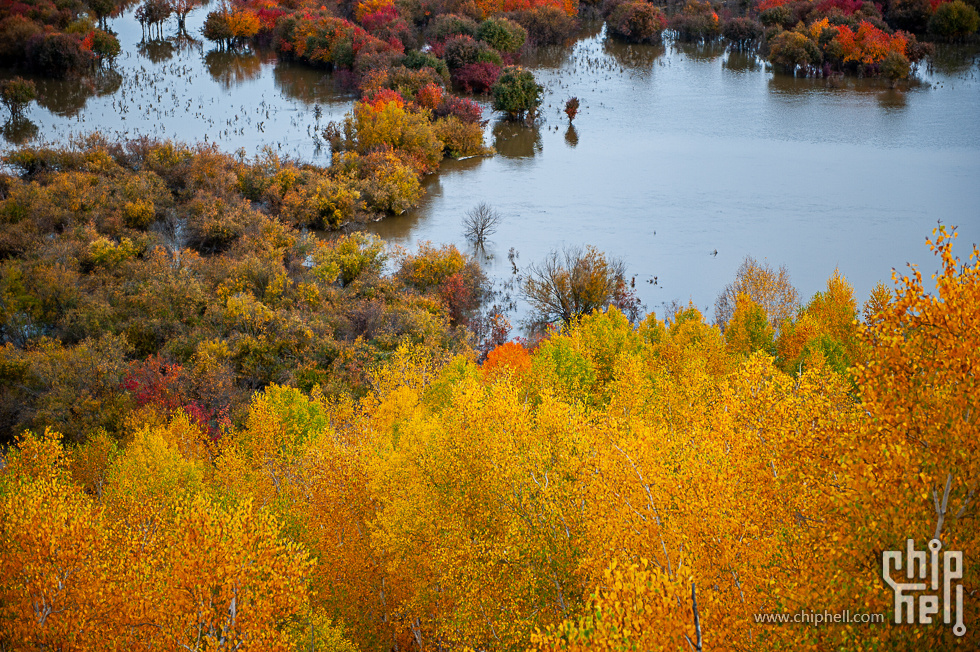 DSC_3845.jpg