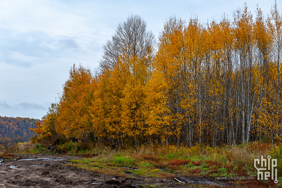 DSC_3912.jpg