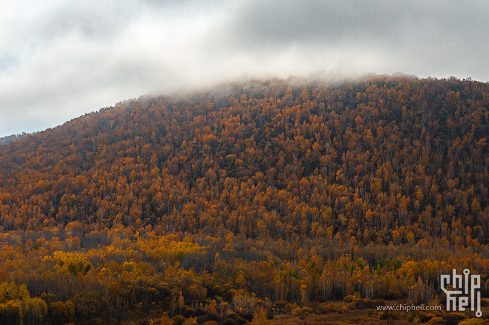 DSC_3932.jpg