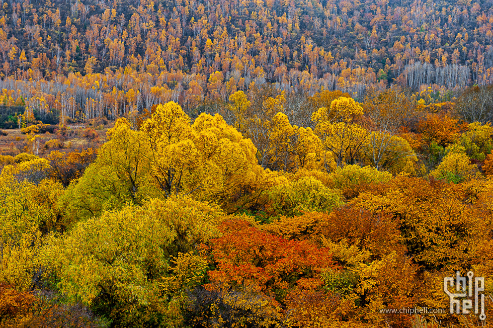 DSC_3919.jpg