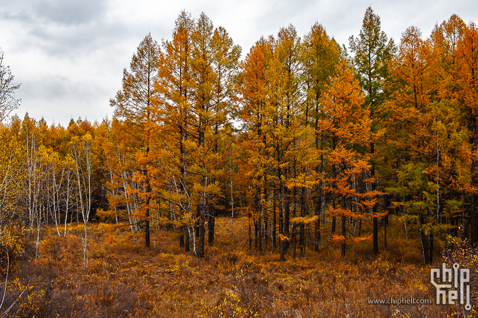 DSC_3937.jpg