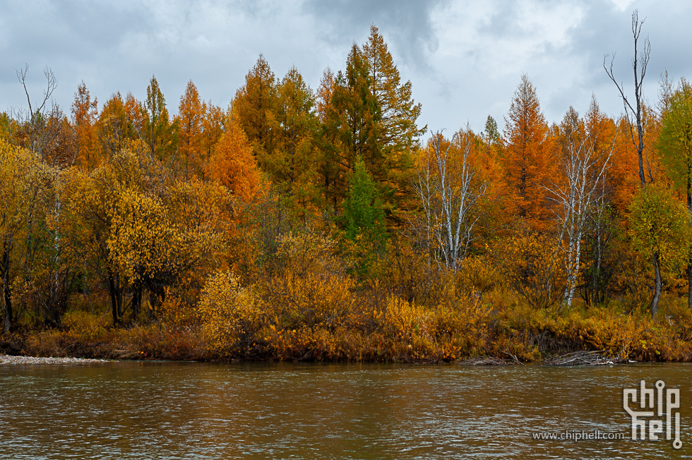 DSC_4011.jpg